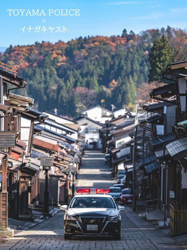 イナガキヤスト